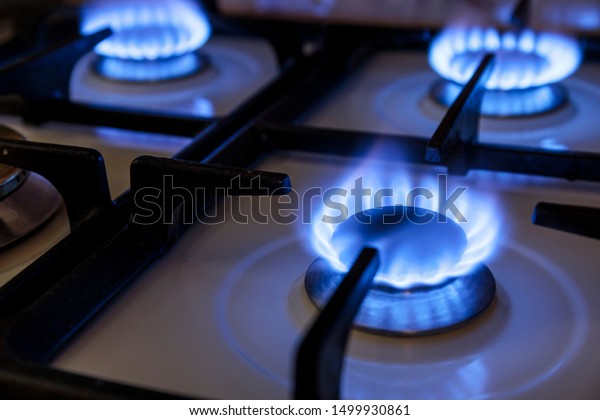 Burning blue flames gas. Focus on the front edge\
of the gas burners.