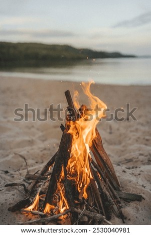 A burning bonfire in beach