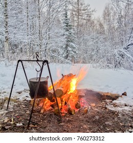 Burning bonfire in the winter forest