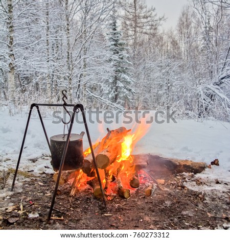 Burning bonfire in the winter forest