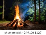Burning campfire on a dark night in a forest. The bonfire burns in the forest. camp fire in the autumn during vacation in the mountains. Beautiful landscape of nature and trees. Sparks and flames.