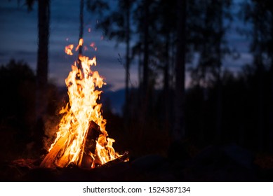 Burning Campfire On A Dark Night In A Forest