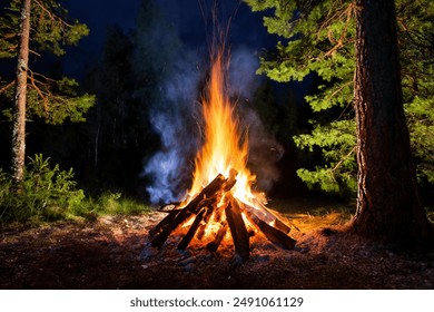 Burning campfire on a dark night in a forest. The bonfire burns in the forest. camp fire in the autumn during vacation in the mountains. Beautiful landscape of nature and trees. Sparks and flames. - Powered by Shutterstock
