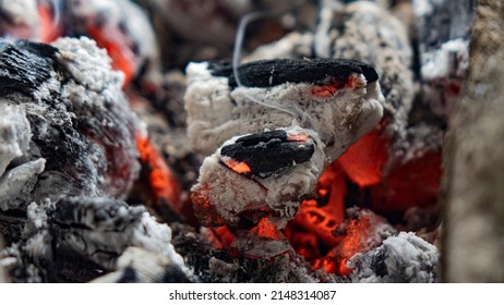 Burning Campfire, Slow Motion Video, Coal