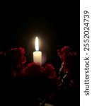 Burning candle on the dark background with carnation flowers. Picture of mourning. Mourning. Mourning picture. Burning candle. Mourning background 