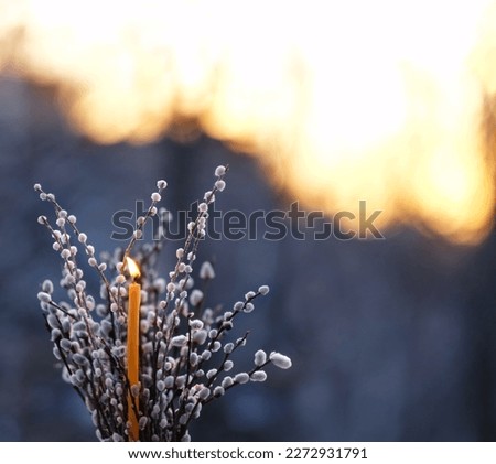 Burning candle and willow branches on abstract blurred natural dark background. Easter holiday, palm Sunday concept. symbol of orthodox Church, prayer, faith in God, religion. copy space