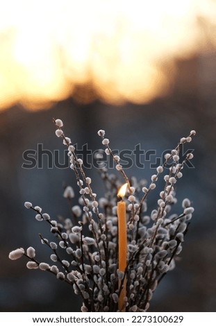 Burning candle and willow branches on abstract blurred natural dark background. Easter holiday, palm Sunday concept. symbol of orthodox Church, prayer, faith in God, religion