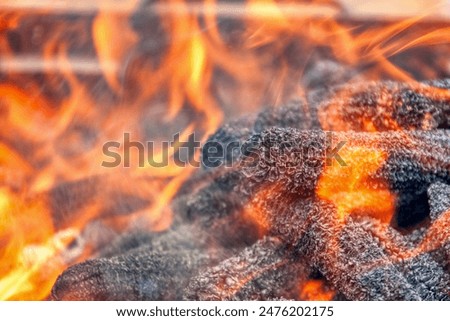 burning corn cob without kernels in the fire, used countryside for warming
