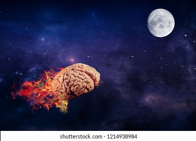 Maiden family Ashley Furman Burning Cosmic Brain Flies Towards Moonelements Stock Photo 1214938984 |  Shutterstock