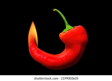 Burning Crooked Red Chilli Pepper Isolated Stock Photo 2199003635 ...