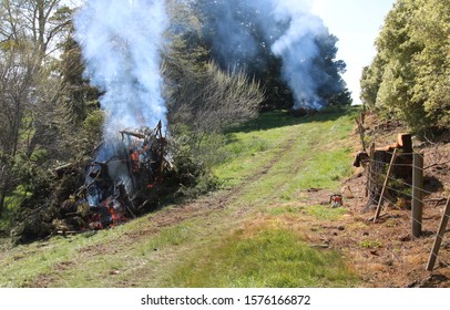 Burning Cut Down Trees To Make Clearance