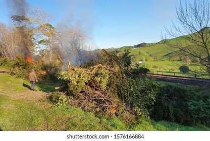 Burning Cut Down Trees To Make Clearance