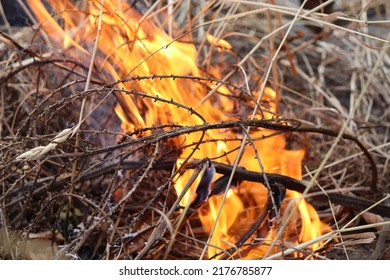 Burning Dead Weeds With Fire