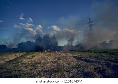 Burning Dry Grass. On A Hot Summer Day Burn Field.