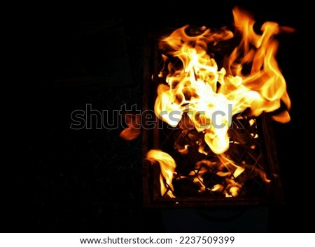 Burning Fire Barbeque Coal Flame 
