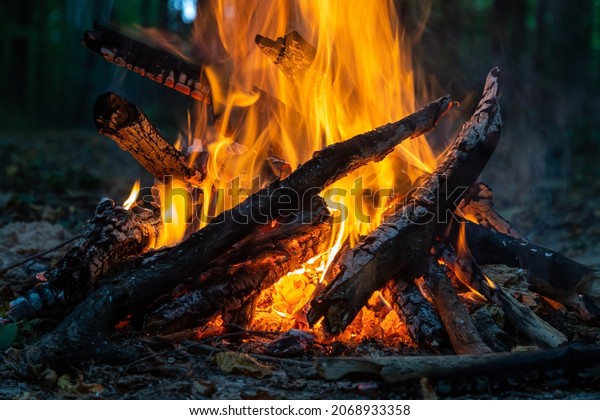 Burning\
fire. The bonfire burns in the forest. Texture of burning fire.\
Bonfire for cooking in the forest. Burning dry branches. Tourist\
fire in the forest. Texture of burning\
branches.