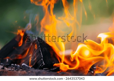 Burning fire in the brazier.