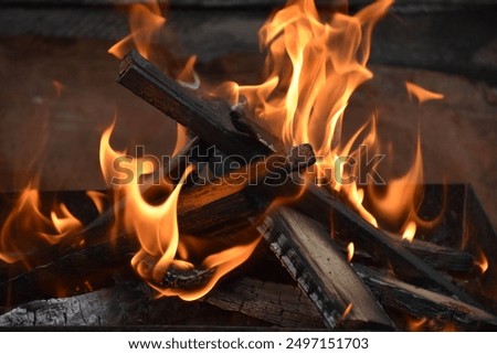 Burning fire wood for barbecue closeup. Bonfire for cooking bbq texture