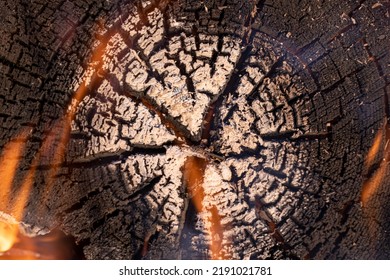 Burning Firewood, Burnt Stump On Fire, Beautiful Burnt Wood Pattern, Wood Texture, Rings