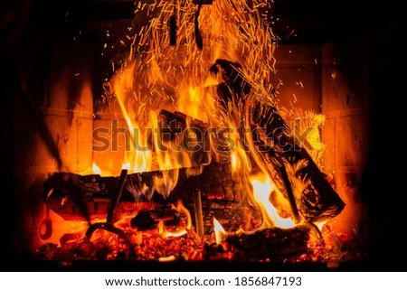 Similar – Image, Stock Photo Burning wood Adventure