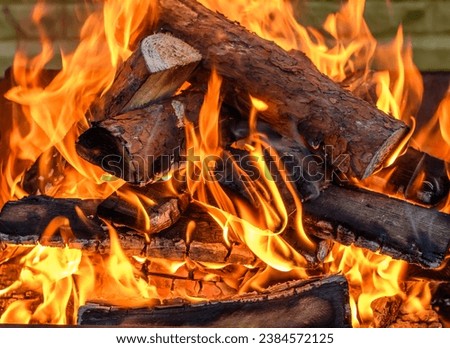 Burning firewood, orange flames filling the frame
