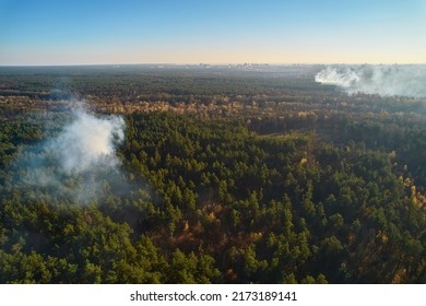 Burning Forest With Fire And Smoke. Forest Fire, Aerial Top View From Drone