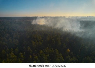 Burning Forest With Fire And Smoke. Forest Fire, Aerial Top View From Drone