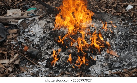 Burning Garbage in the Backyard