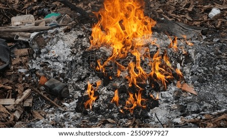 Burning Garbage in the Backyard