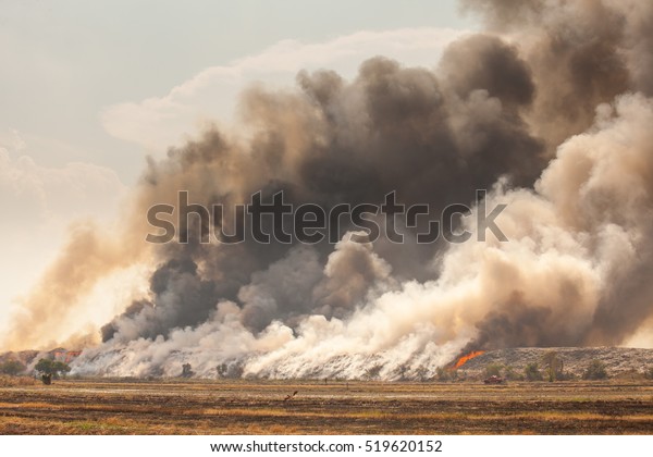 Burning Garbage Heap Smoke Burning Pile Stock Photo 519620152 ...