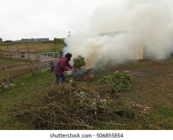 Burning Garden Waste.