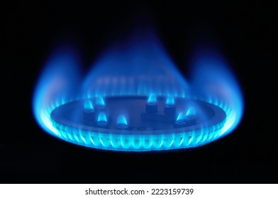 Burning gas, gas stove burner, hob in the kitchen - Shutterstock ID 2223159739