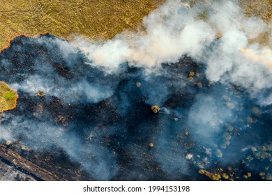 Burning Grass With Fire And Smoke. Forest Fire, Aerial Top View From Drone