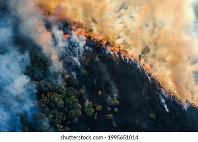 Burning Grass With Fire And Smoke. Forest Fire, Aerial Top View From Drone