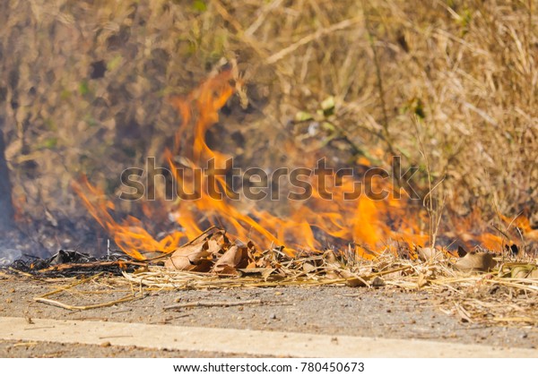 Burning grass roadside, Roadside burns are\
caused by people dumping the cigarette on the hay. Make smoke\
obscure visions of\
driving.