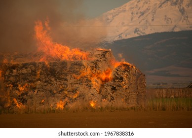 Burning Hay Stacks 1 Ton Bales On Fire Blazing Hot With Embers Flying Around Lower Yakima Valley Washington State In Farm Lands