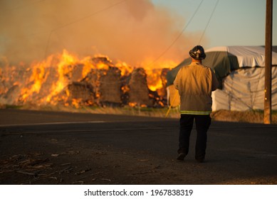 Burning Hay Stacks 1 Ton Bales On Fire Blazing Hot With Embers Flying Around Lower Yakima Valley Washington State In Farm Lands