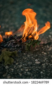 Burning Leafs On Concrete Flor 