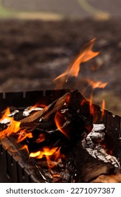 Burning logs in the barbecue, heat, fire, fire, ashes. Autumn rural landscape, macro photography. Autumn photo, light, wallpapers