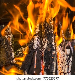 Burning logs in the fire closeup. Fire, divorced outdoors.