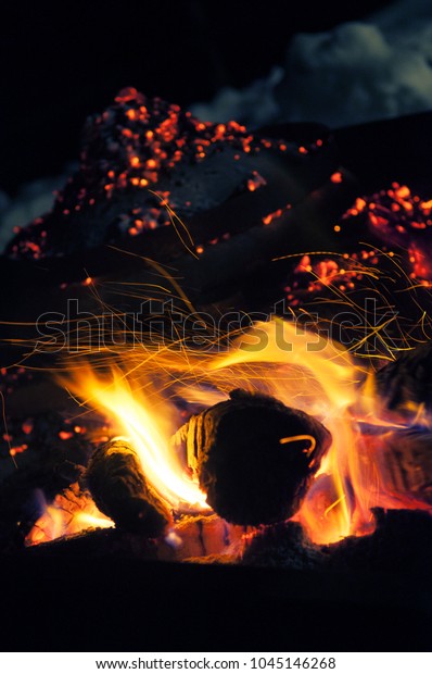 Burning Logs Fire Pit Cooking Dome Stock Photo Edit Now 1045146268