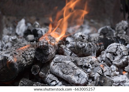 Burning logs in the grill