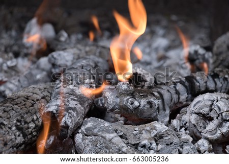 Burning logs in the grill with open fire