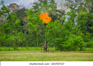 Burning oil gas flare near Limoncocha National Park in the Amazon rainforest in Ecuador