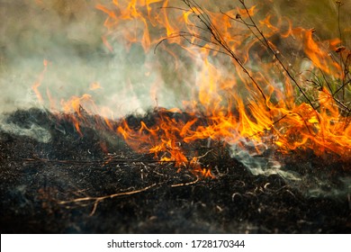 anadrol frass burning