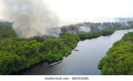 Burning Peat Land Area At National Park