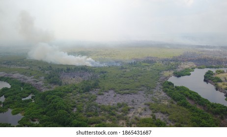 Burning Peat Land Area At National Park