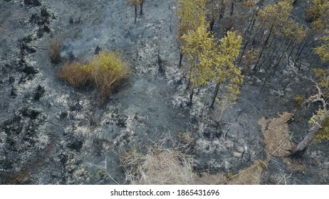 Burning Peat Land Area At National Park