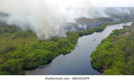 Burning Peat Land Area At National Park