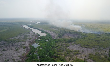 Burning Peat Land Area At National Park